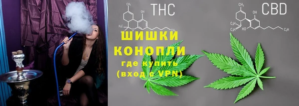 прущие грибы Алапаевск