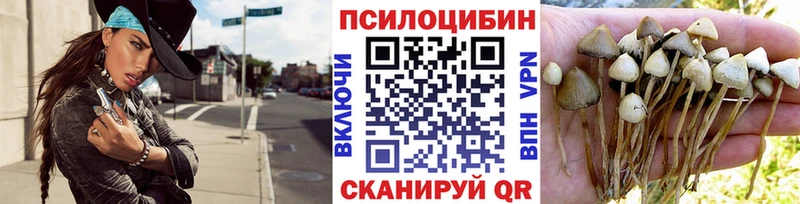 Галлюциногенные грибы Magic Shrooms  где можно купить   Цивильск 