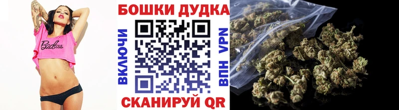 Конопля сатива где купить наркотик Цивильск